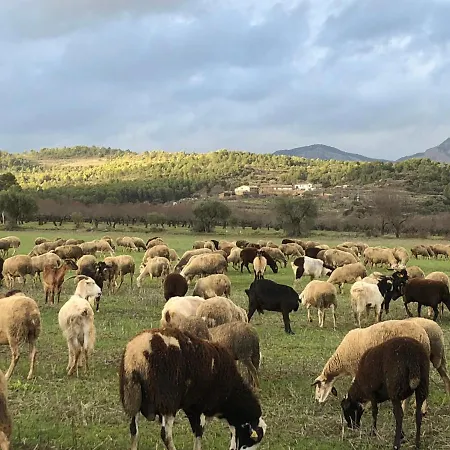 Solano De Moran 招待所 Murillo de Gállego