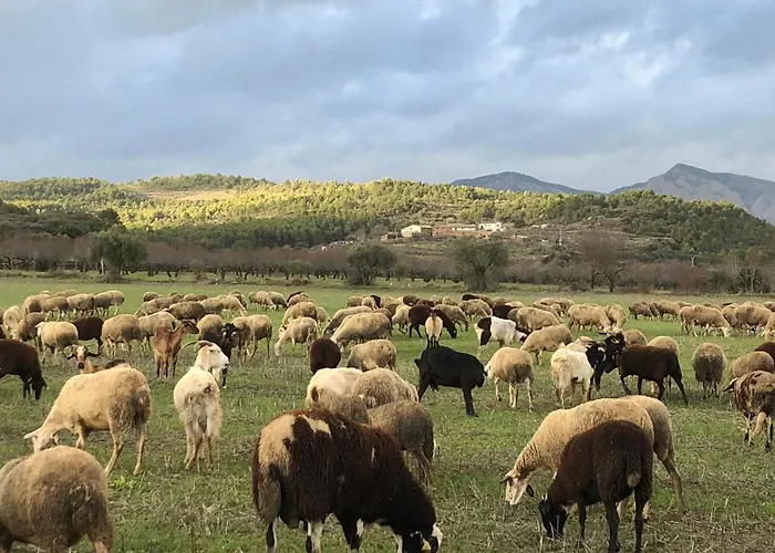 Solano De Moran Pensión Murillo de Gállego