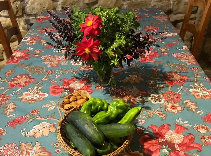 Solano De Moran 3* Murillo de Gállego